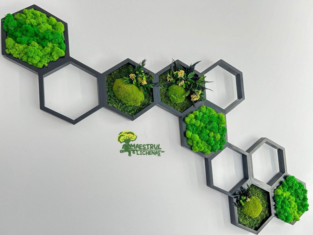 decoratiune hexagonala negru
